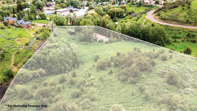 a view of a yard with potted plants