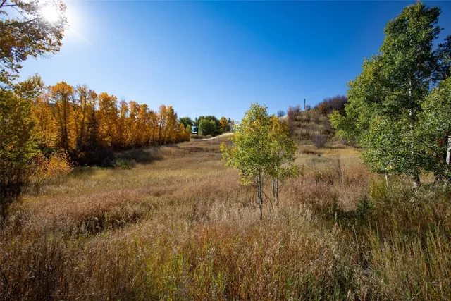 a view of mountain view with trees