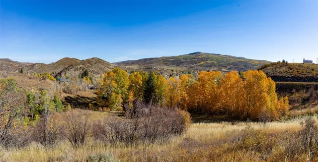 a view of a lake in middle of forest