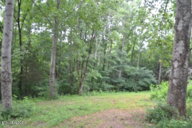 2390 Pea Ridge Fire Tower Road Celina, TN 38551 - Photo 22 of 35 DSC_0022