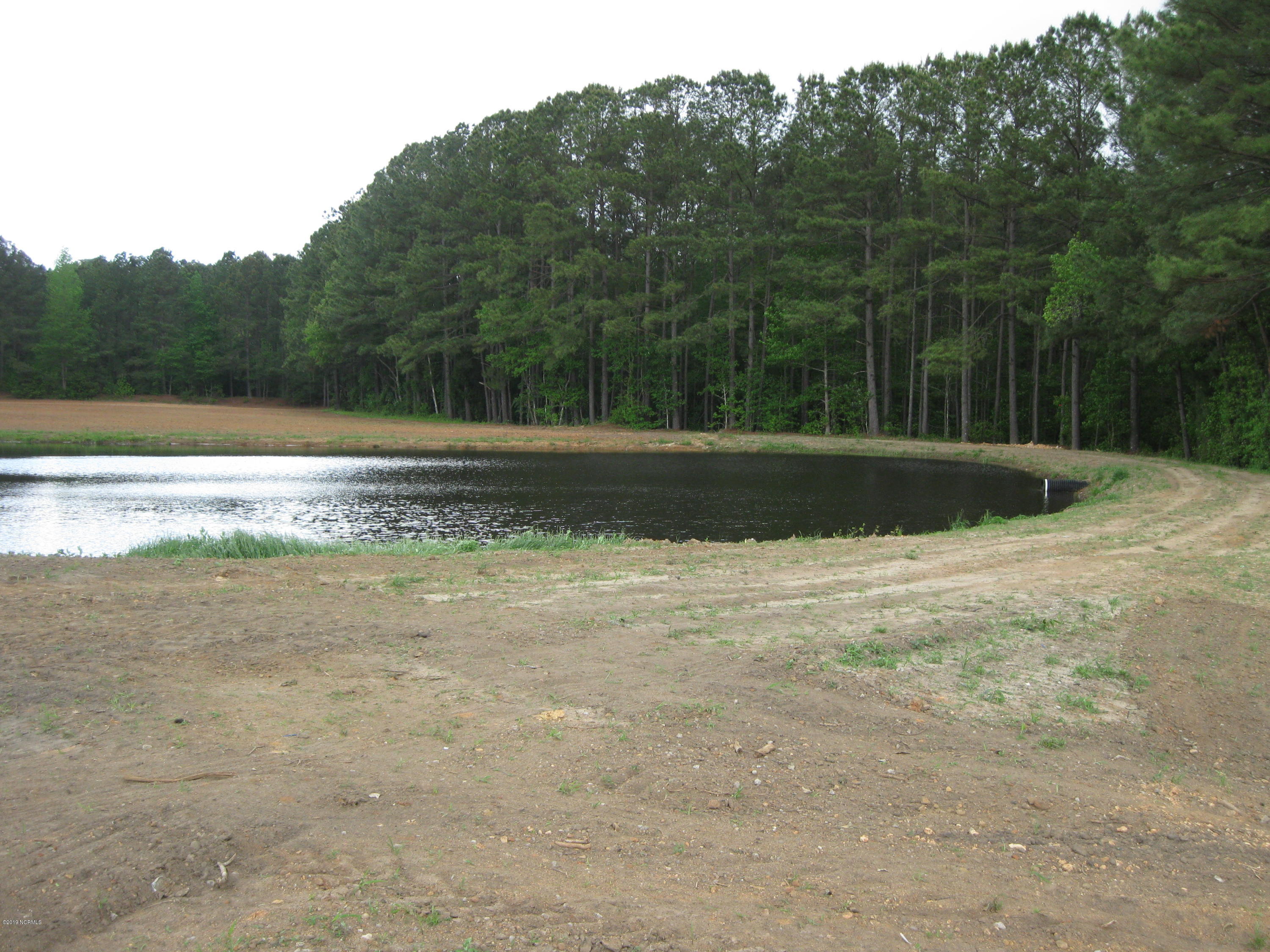 0 Bullstone Road Bailey, NC 27807 - Photo 13 of 16 IMG_0693