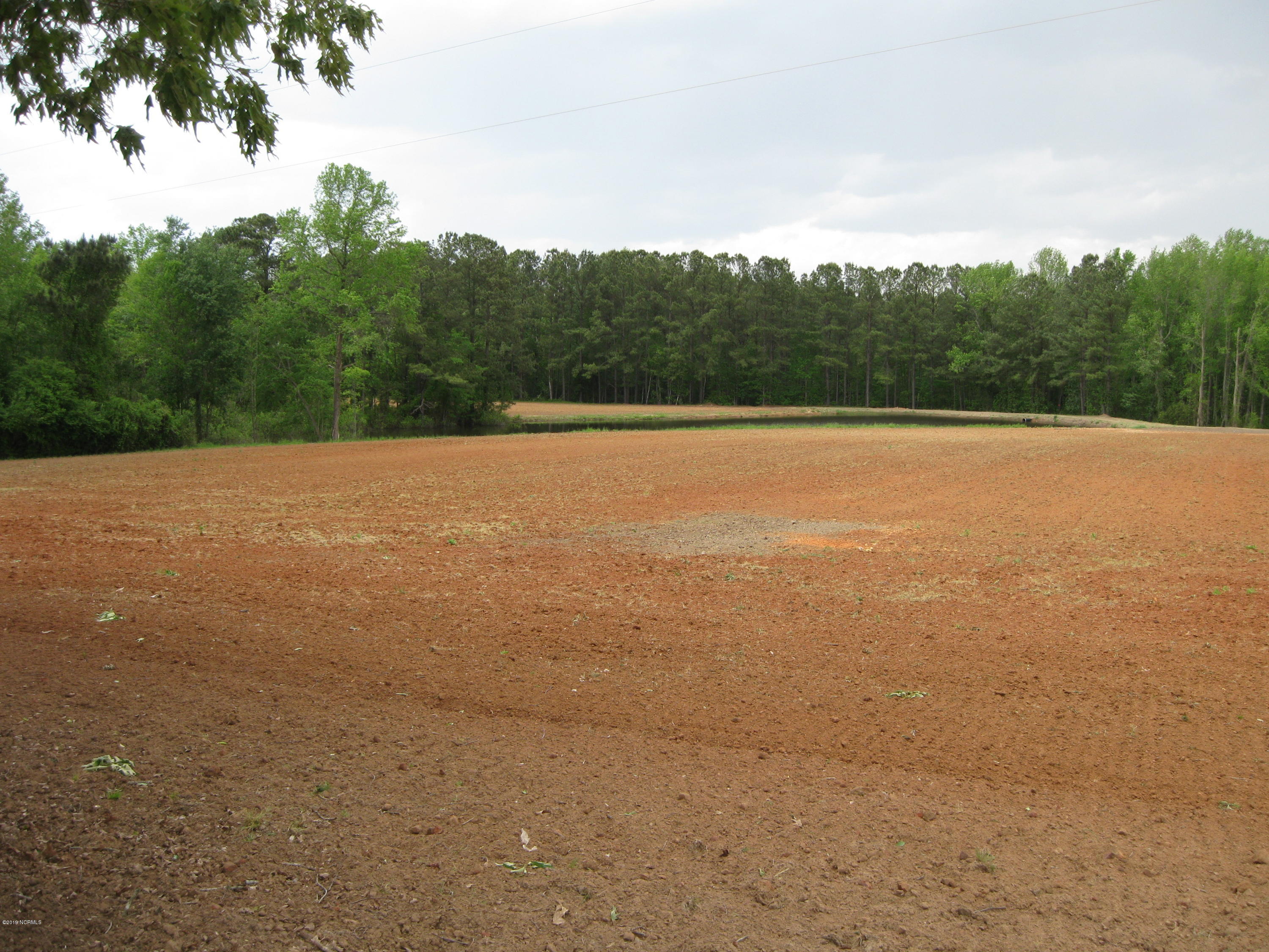 0 Bullstone Road Bailey, NC 27807 - Photo 15 of 16 IMG_0695