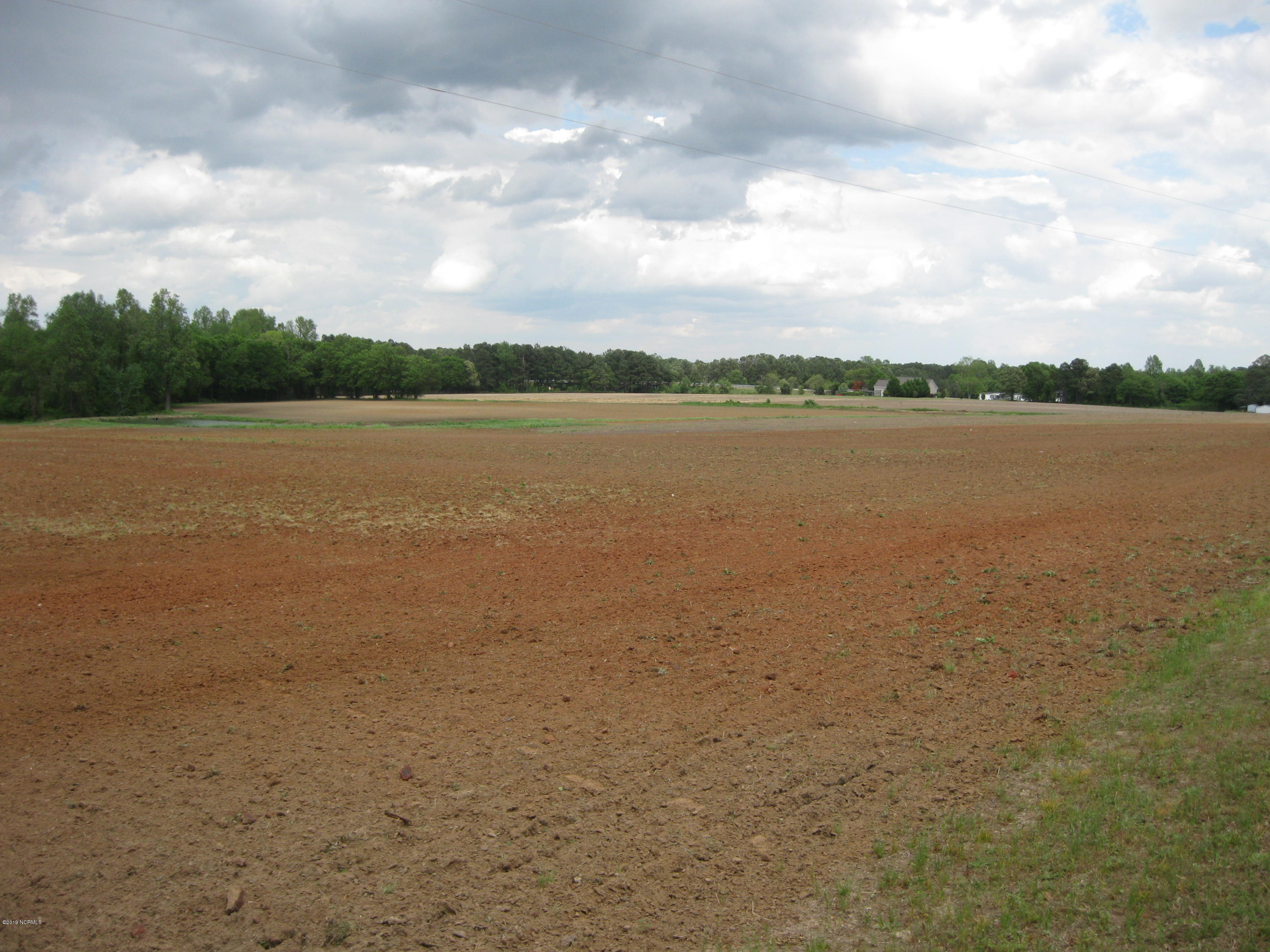 0 Bullstone Road Bailey, NC 27807 - Photo 16 of 16 IMG_0696