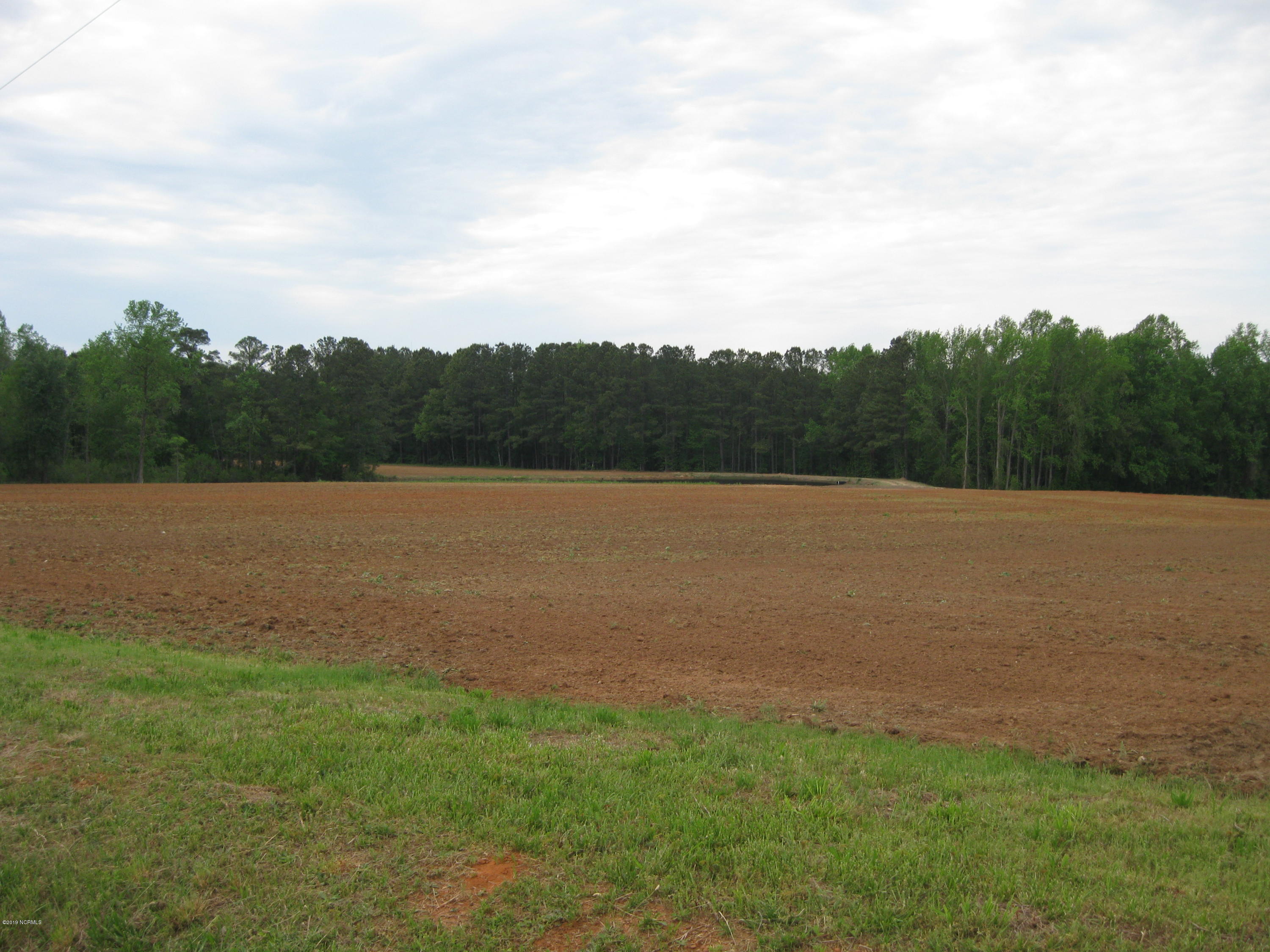 0 Bullstone Road Bailey, NC 27807 - Photo 3 of 16 IMG_0682