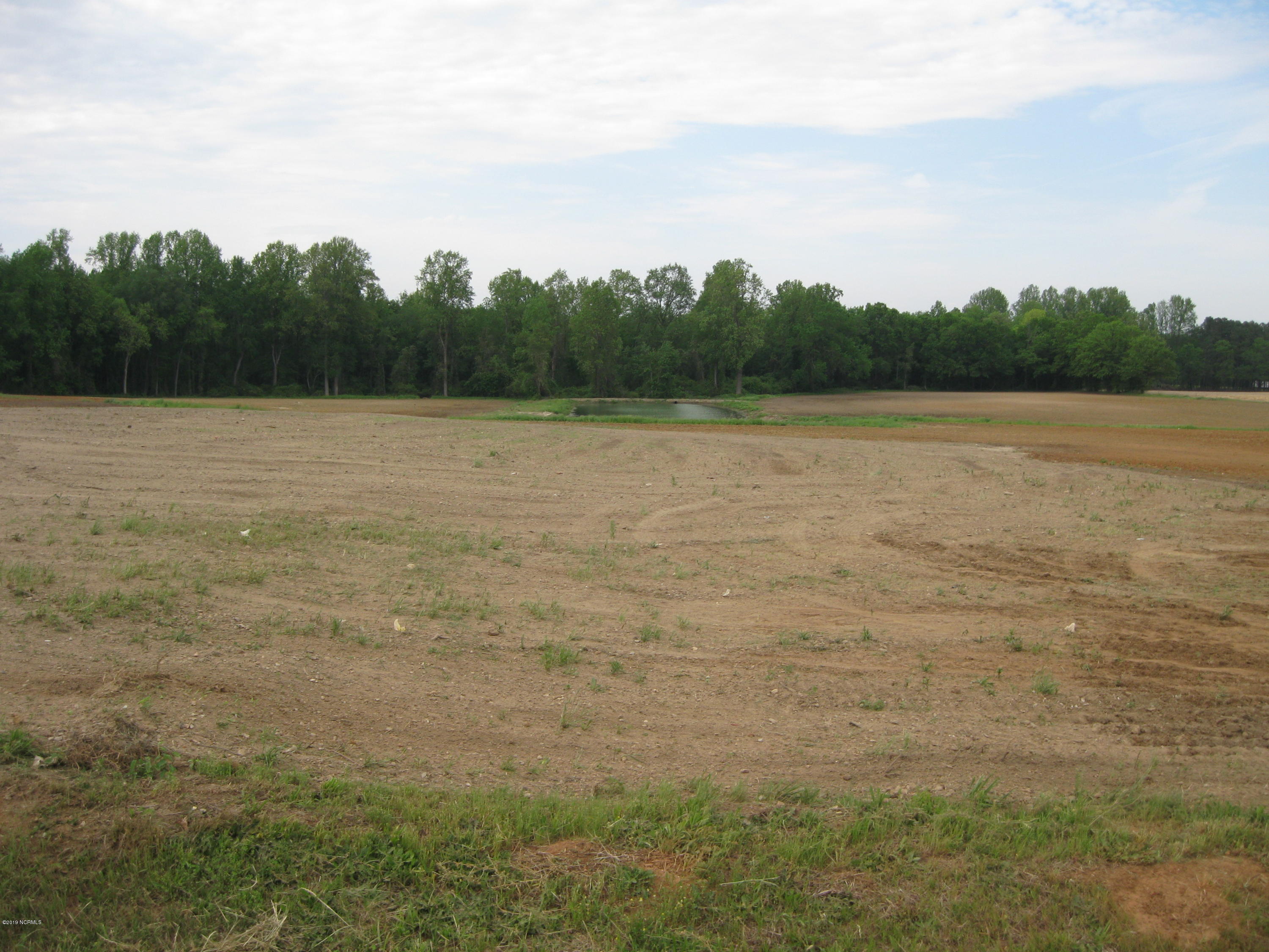 0 Bullstone Road Bailey, NC 27807 - Photo 4 of 16 IMG_0683