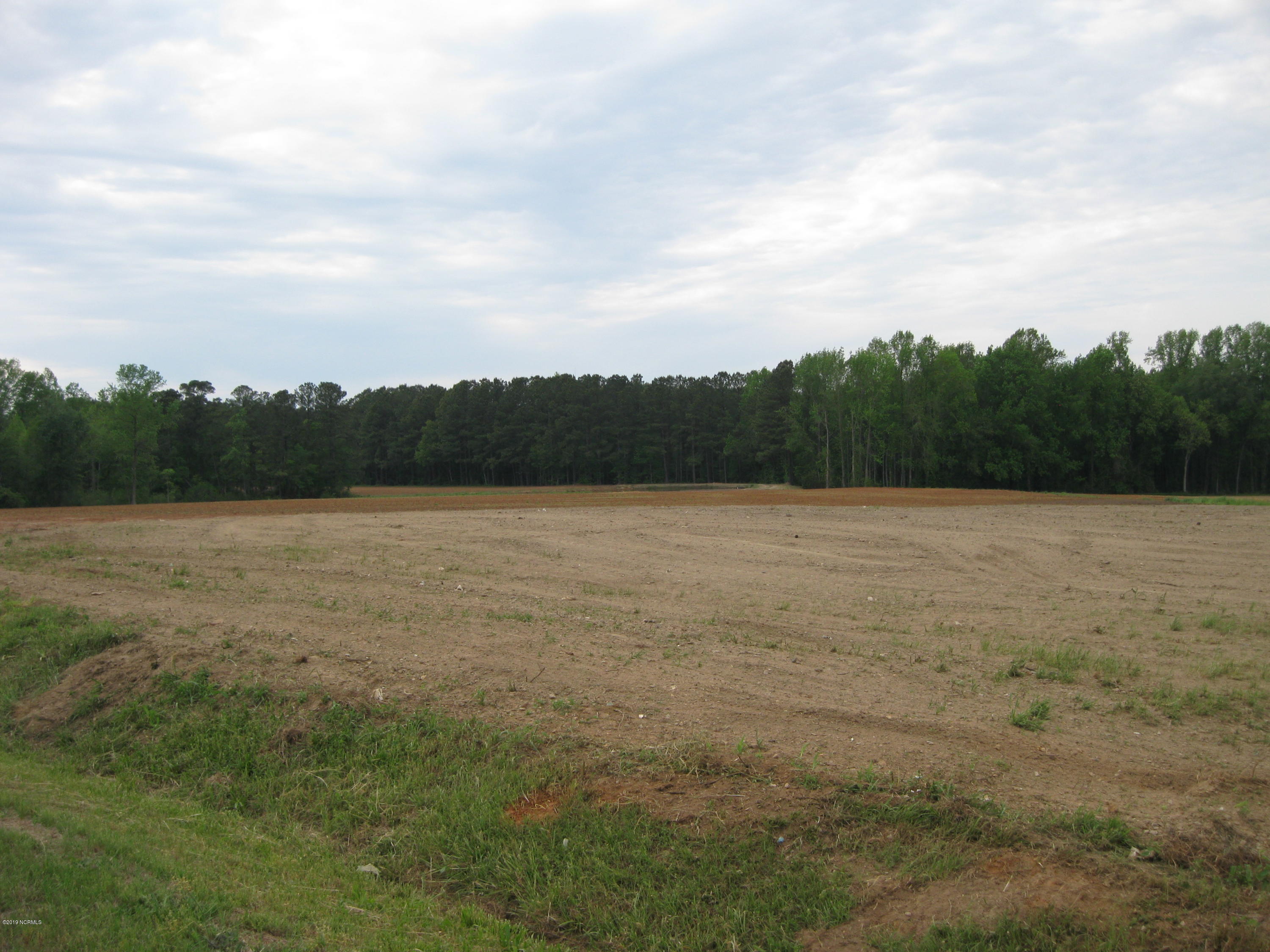 0 Bullstone Road Bailey, NC 27807 - Photo 5 of 16 IMG_0685