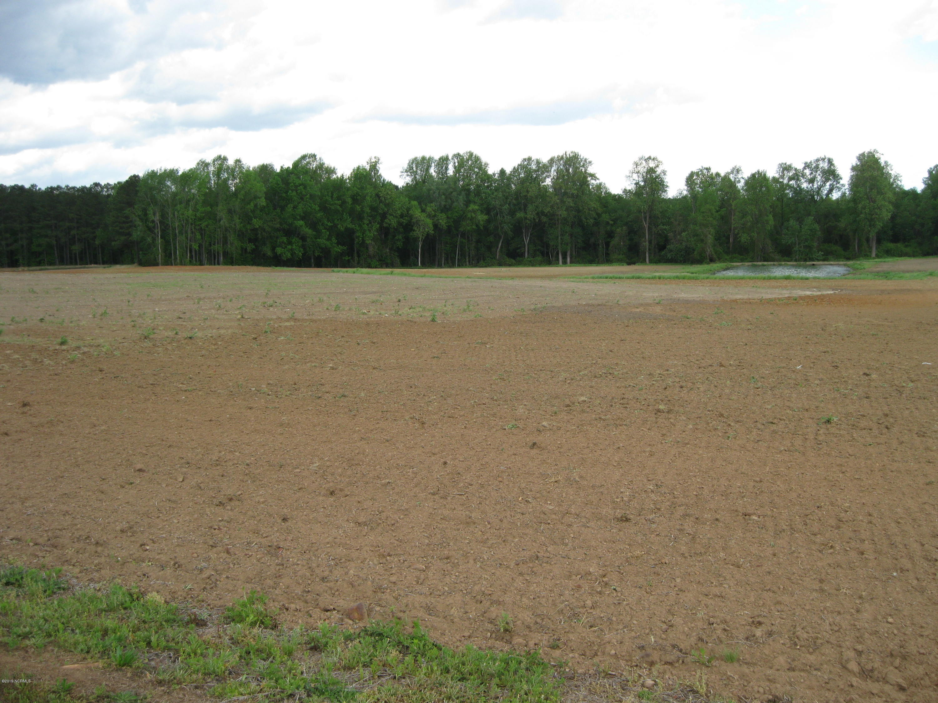 0 Bullstone Road Bailey, NC 27807 - Photo 7 of 16 IMG_0687