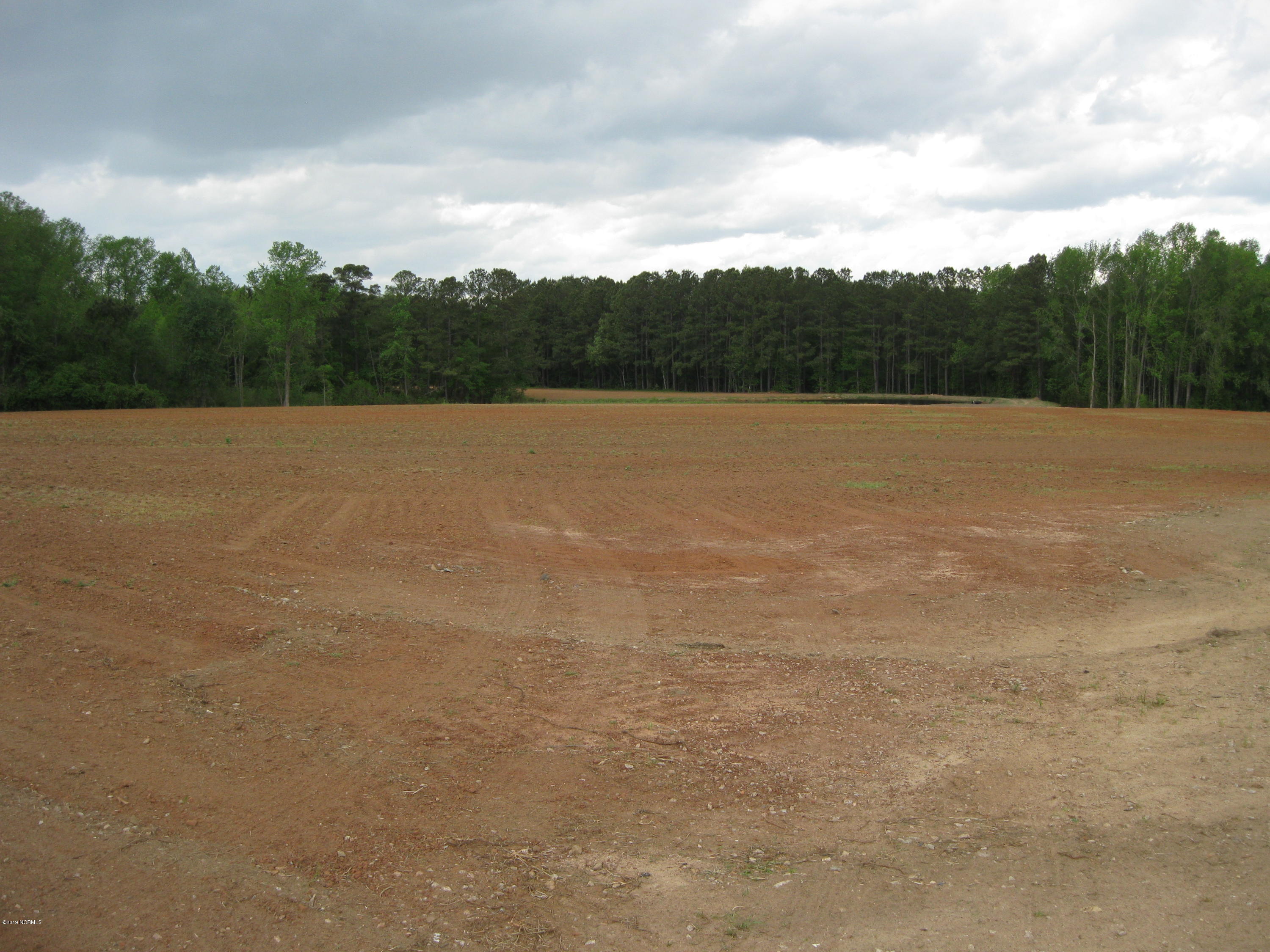 0 Bullstone Road Bailey, NC 27807 - Photo 9 of 16 IMG_0689