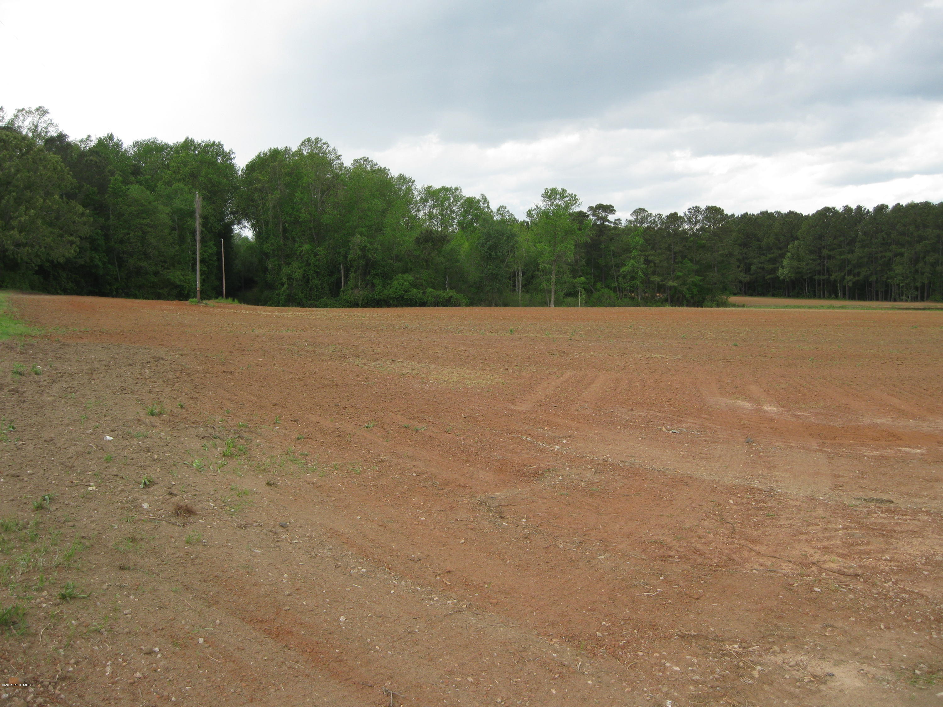 0 Bullstone Road Bailey, NC 27807 - Photo 10 of 16 IMG_0690