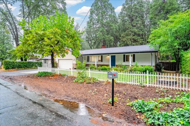 a view of a house with a small yard and a large tree