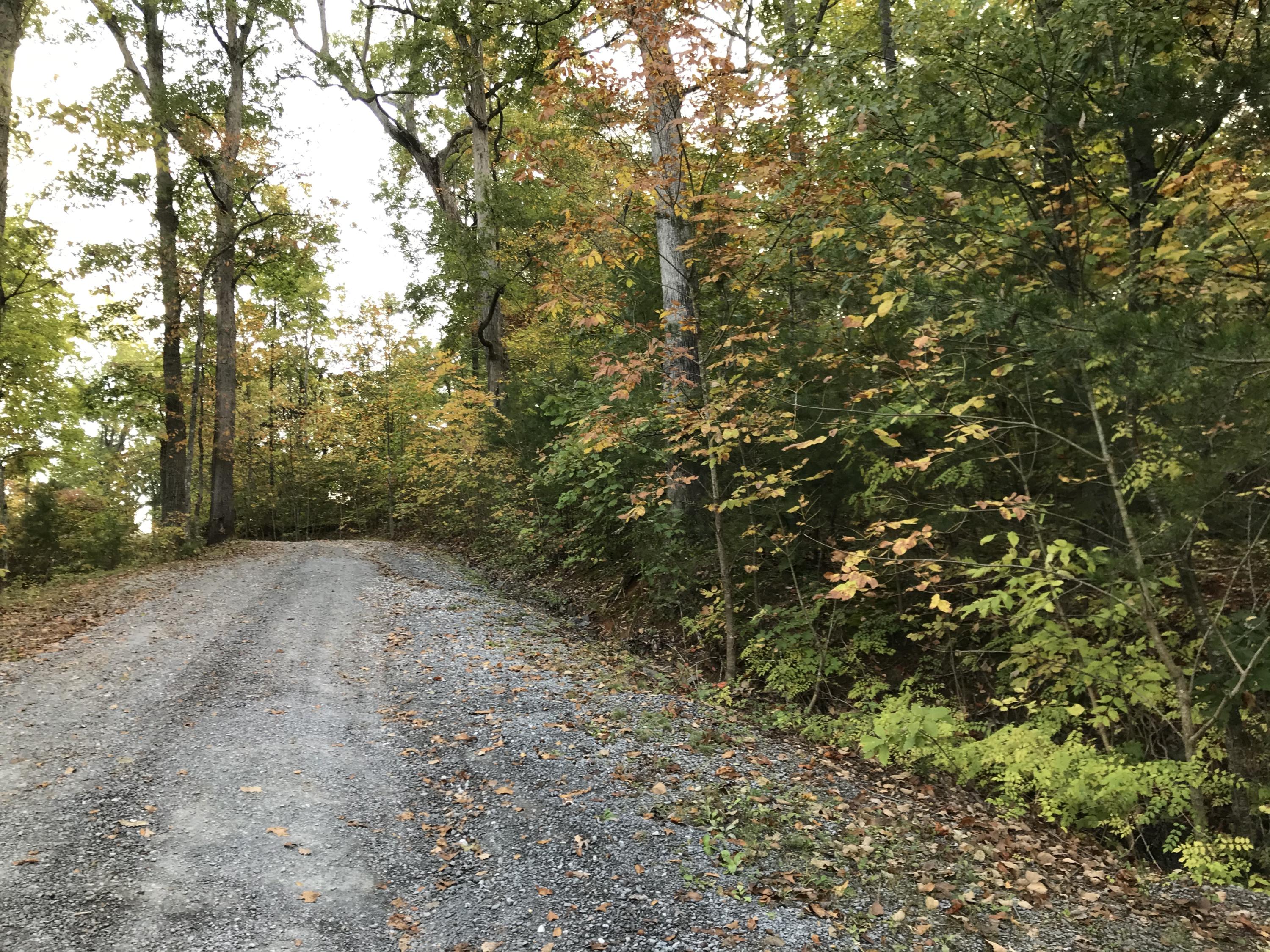 Johnson Road, Unit 3618 Kodak, TN 37764 - Photo 1 of 9 DFA9EC7C-10B9-4055-A165-53F1EBCEBC3B