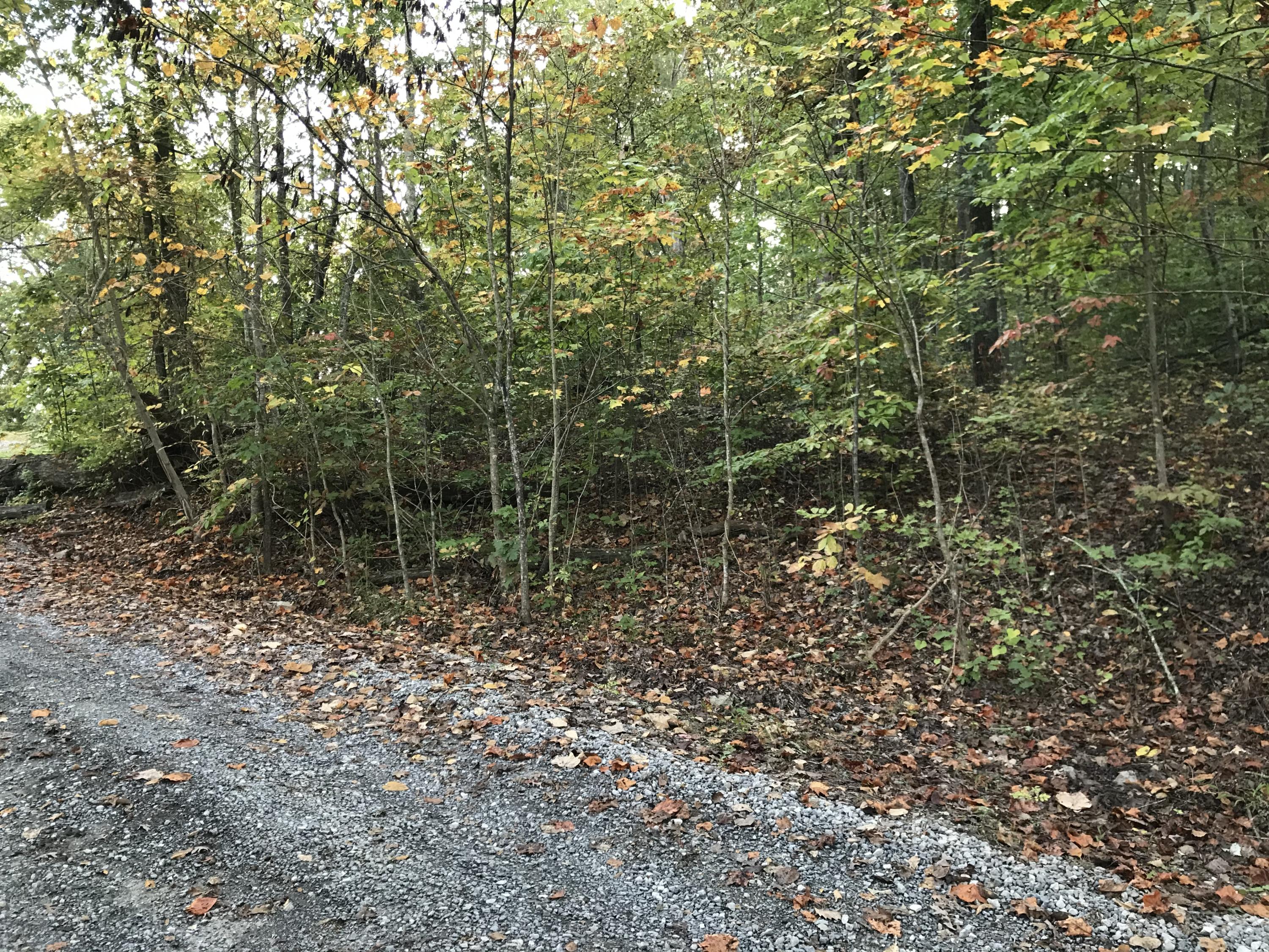 Johnson Road, Unit 3618 Kodak, TN 37764 - Photo 2 of 9 15AE0ECC-F20E-411D-9711-B57522AEA689