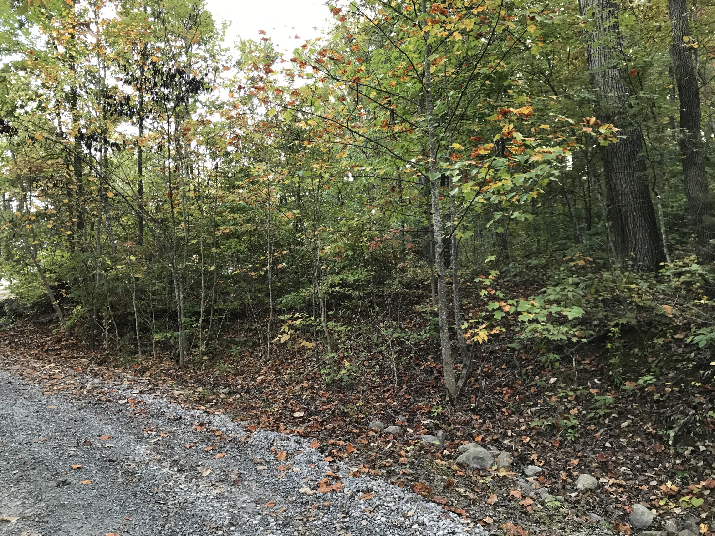 Johnson Road, Unit 3618 Kodak, TN 37764 - Photo 7 of 9 E22E3835-3996-49B4-859B-E30B7B46B64C