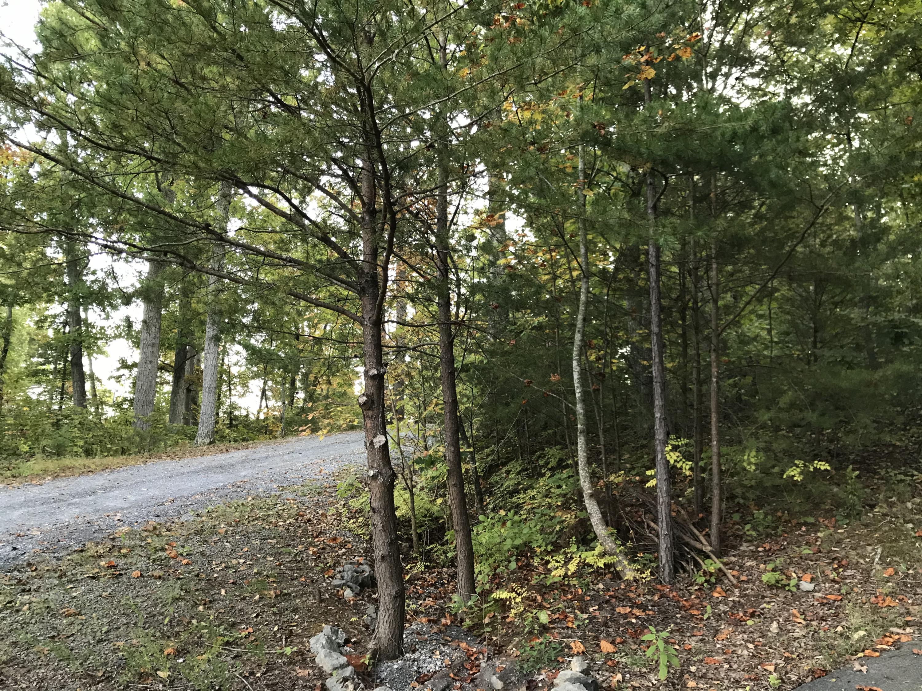 Johnson Road, Unit 3618 Kodak, TN 37764 - Photo 8 of 9 1F71A6DF-A886-40AC-8CE7-8C2950E1EC18