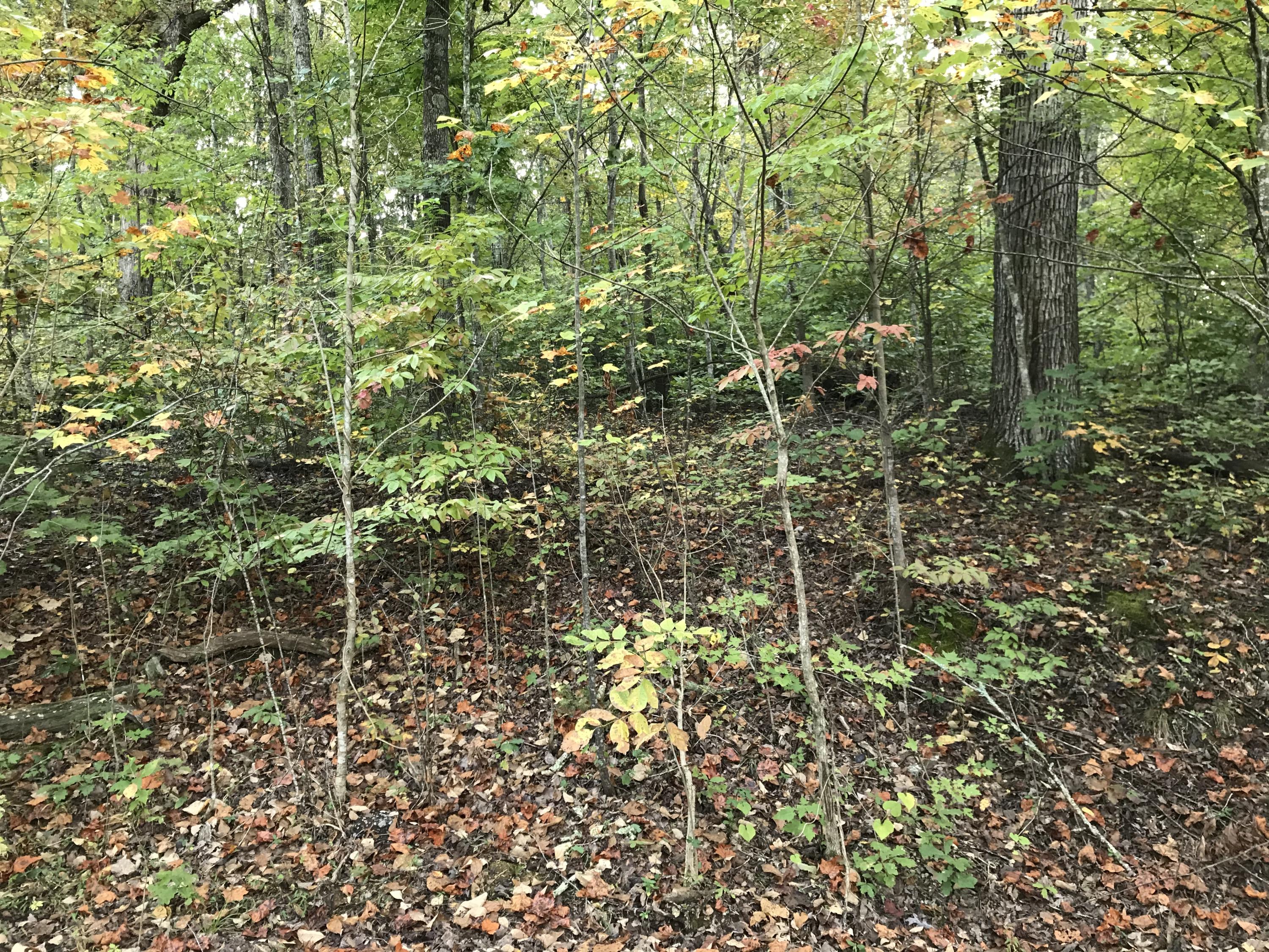 Johnson Road, Unit 3618 Kodak, TN 37764 - Photo 9 of 9 0FB2E8C6-7643-4F96-B065-615E64EAAD48