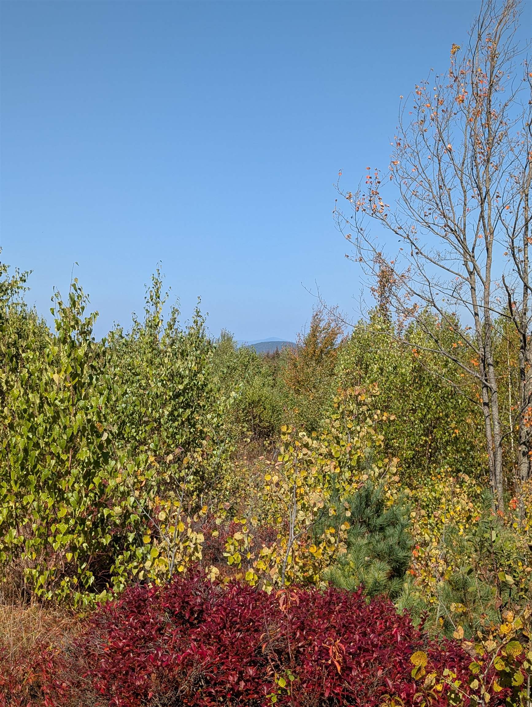 Lot 3 Ridge Road New Durham, NH 03855 - Photo 2 of 5