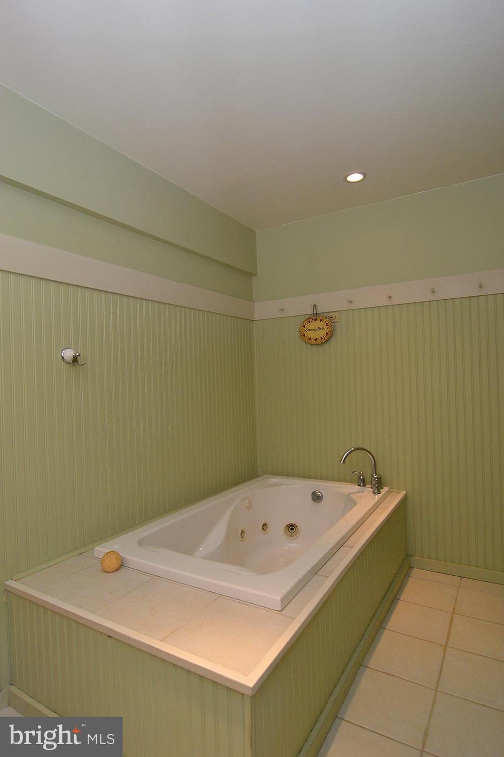 971 Lincoln Road Birdsboro, PA 19508 - Photo 29 of 38 New Bath