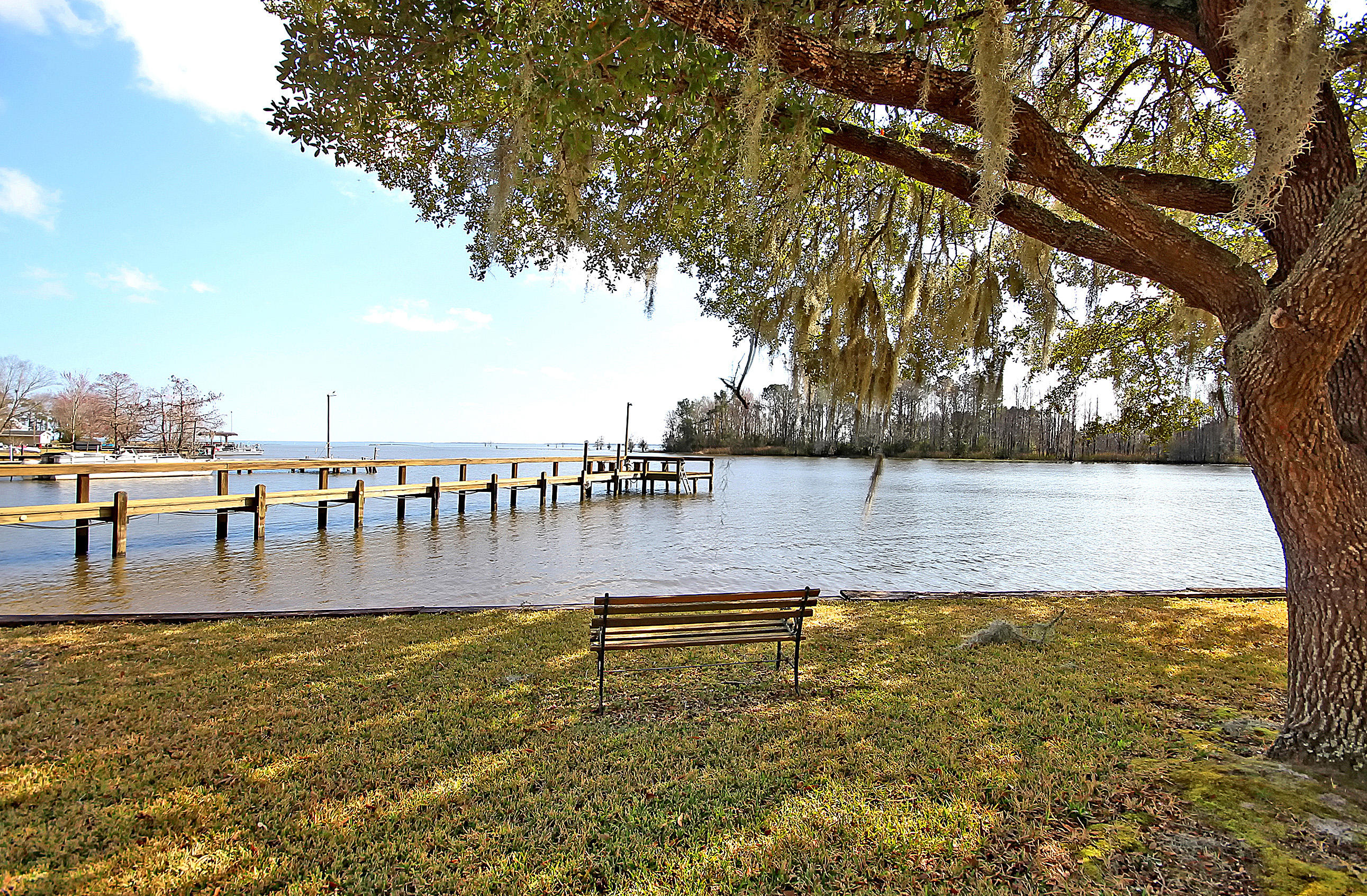 1191 Longpoint Road Cross, SC 29436 - Photo 14 of 49 IMG_8887 copy