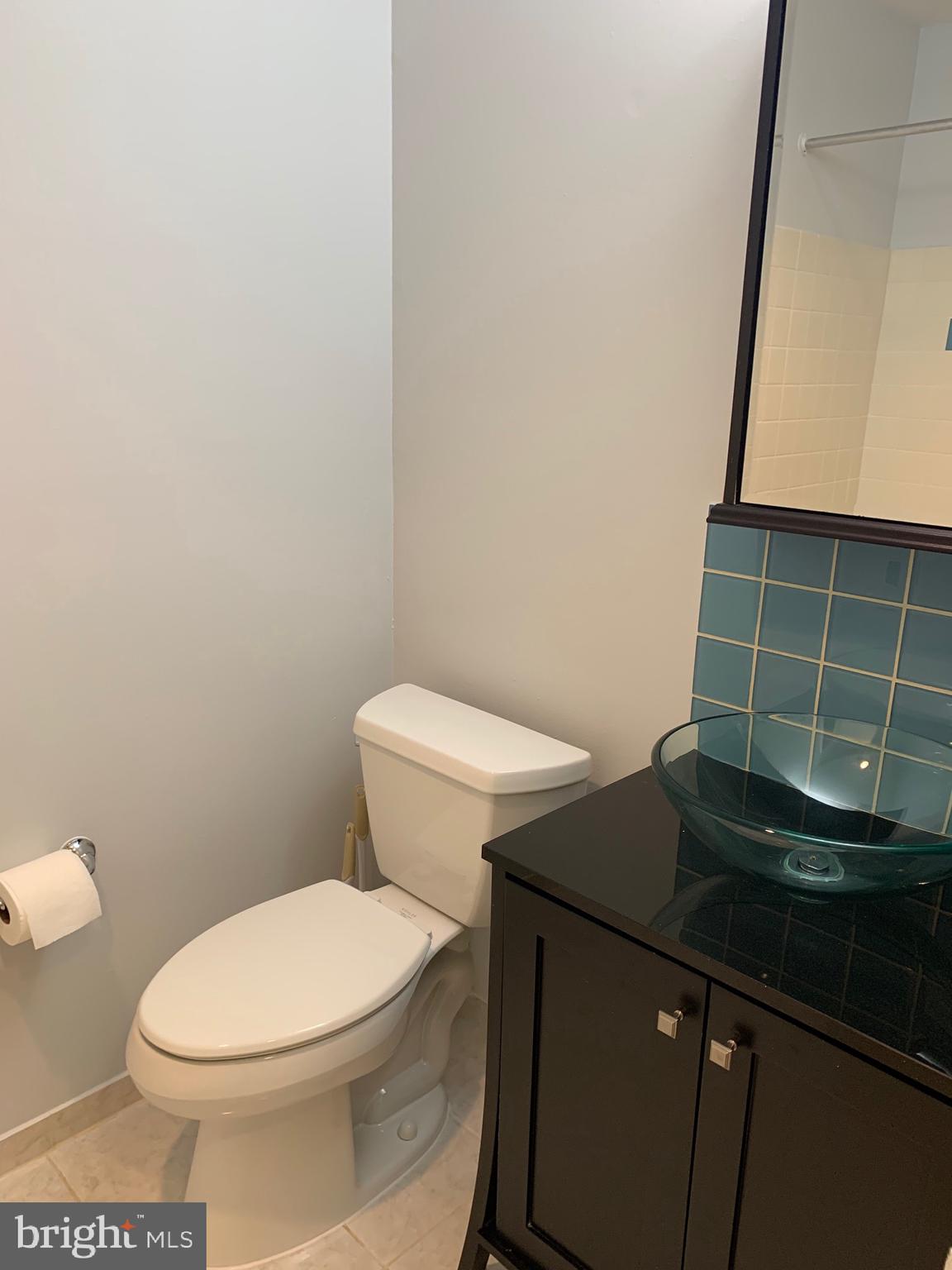 54302 Delaire Landing Road, Unit 302 Philadelphia, PA 19114 - Photo 11 of 34 Hall Bathroom