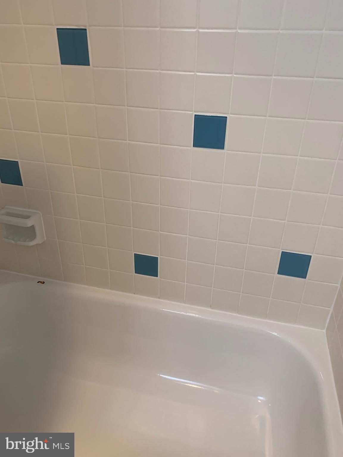 54302 Delaire Landing Road, Unit 302 Philadelphia, PA 19114 - Photo 12 of 34 Main Bathroom