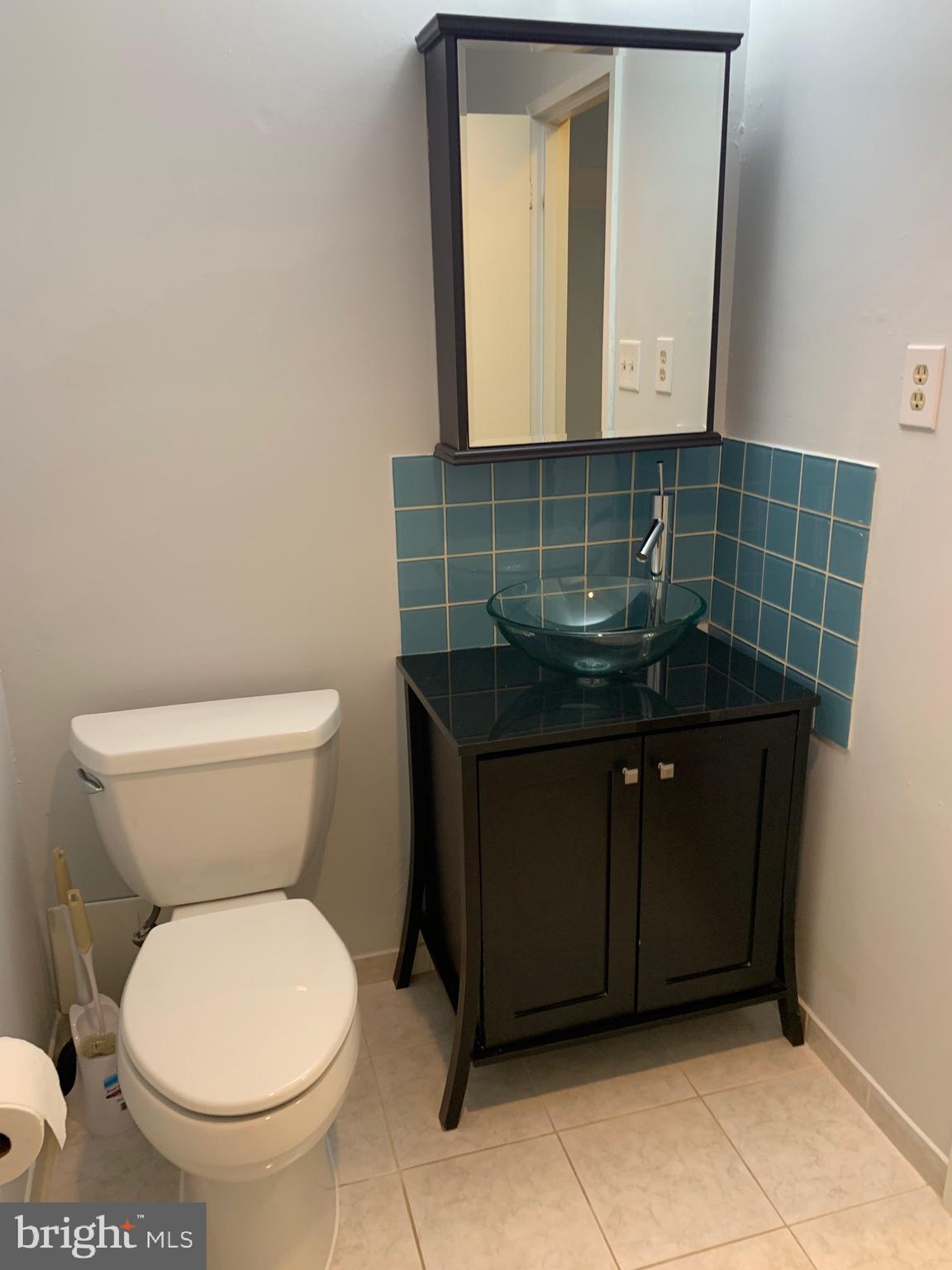 54302 Delaire Landing Road, Unit 302 Philadelphia, PA 19114 - Photo 10 of 34 Hall Bathroom