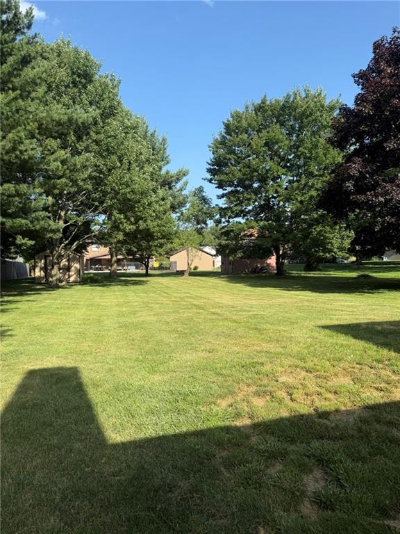 256 Finnin Road New Kensington, PA 15068 - Photo 3 of 44 Back yard