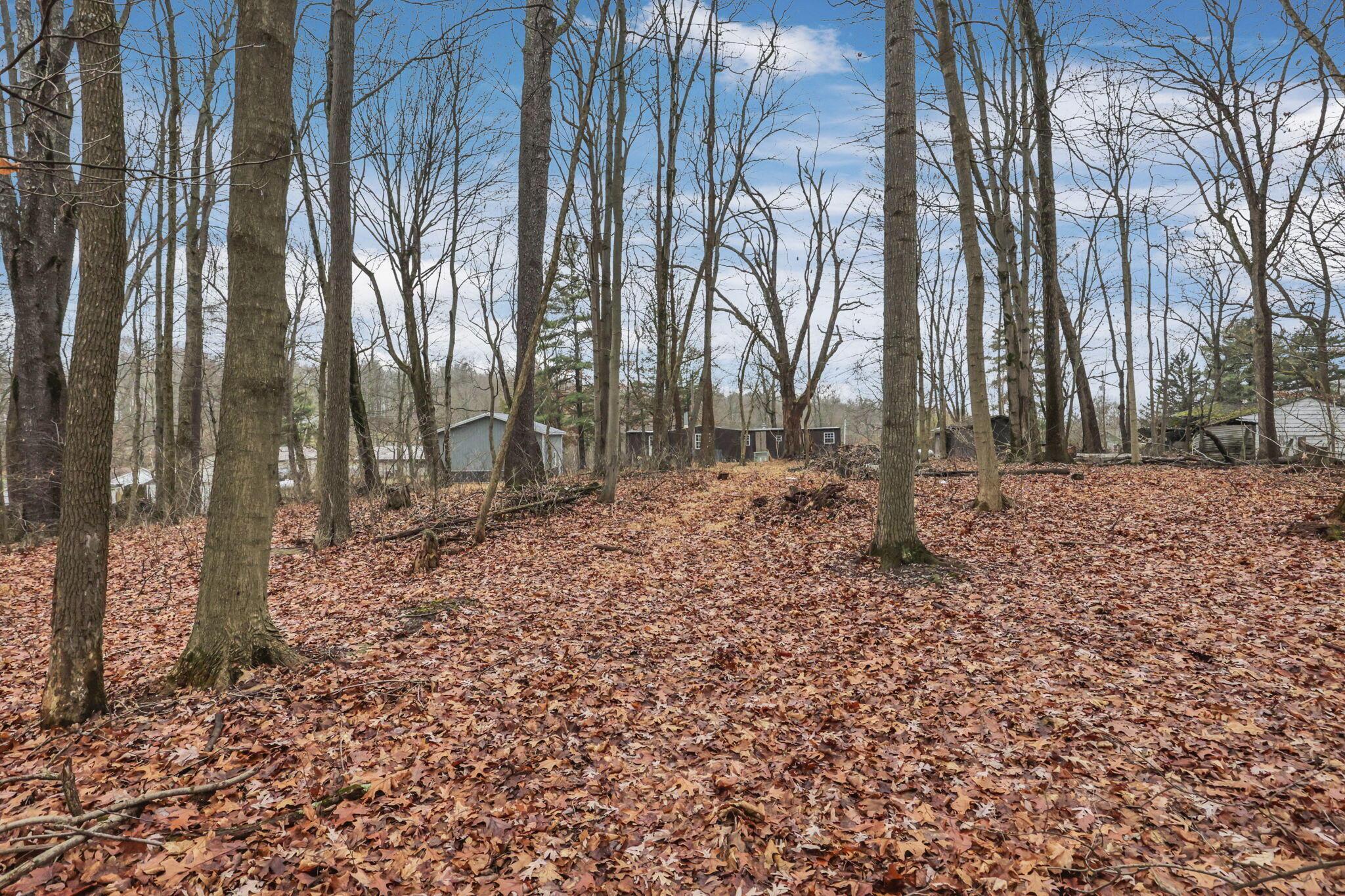 11477 Blue Jay Road Southeast Newark, OH 43056 - Photo 27 of 37 28-web-or-mls-011A2687