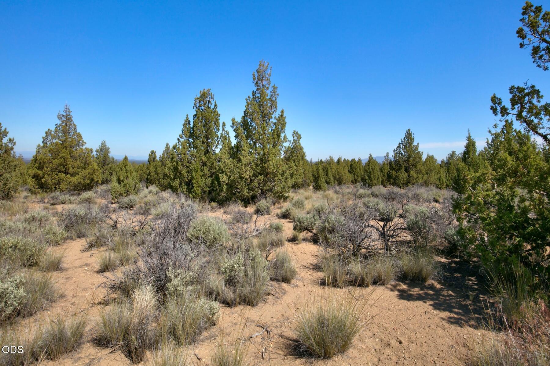 0 Southwest Reif Road, Unit PARCEL 2 Powell Butte, OR 97753 - Photo 14 of 18