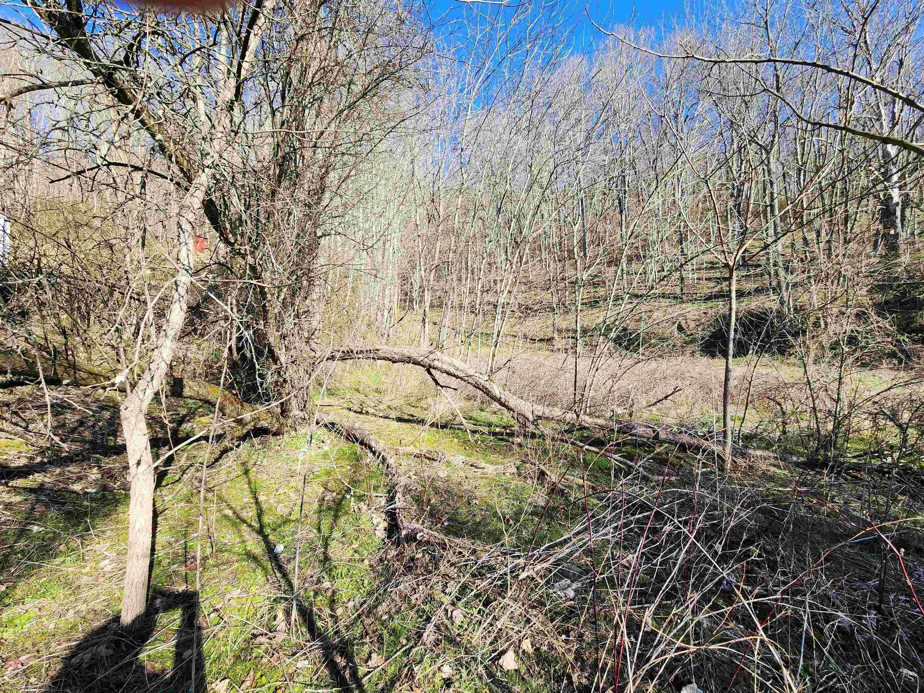 645 Rosenbaum Road Bluefield, VA 24605 - Photo 20 of 23 Gallery Image 20