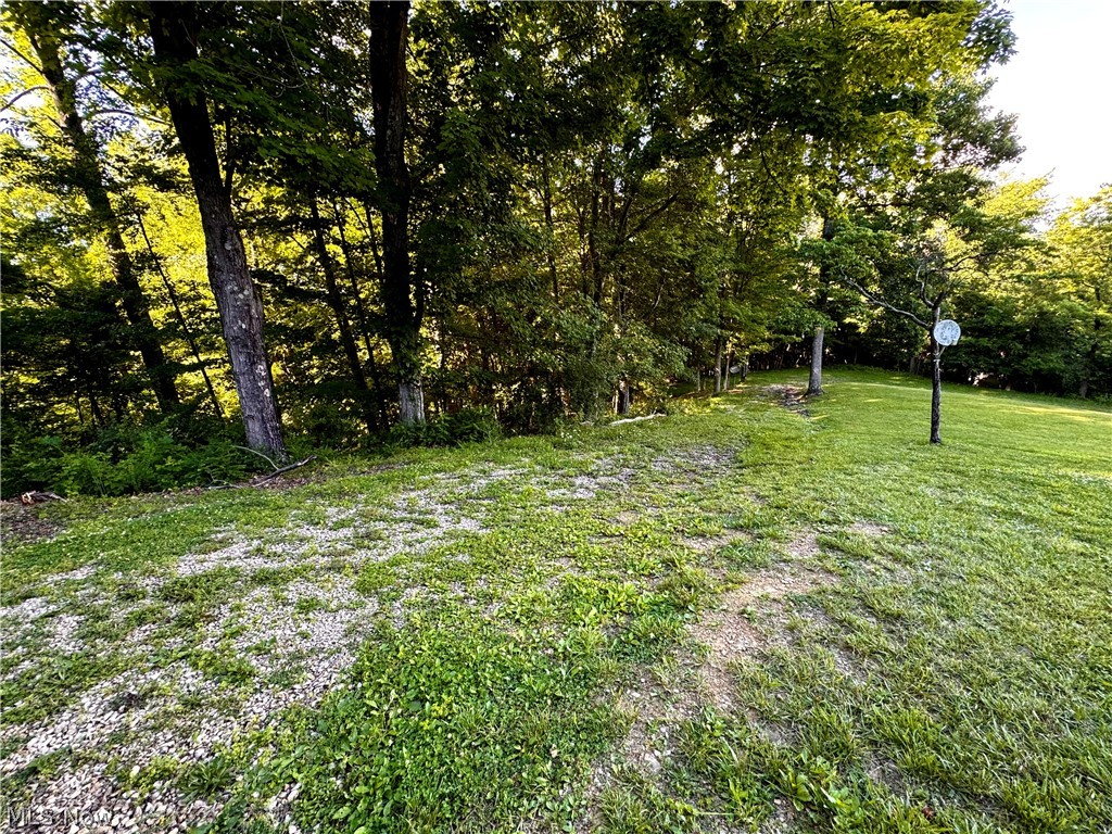 70906 Reynolds Road Piedmont, OH 43983 - Photo 32 of 33 Driveway