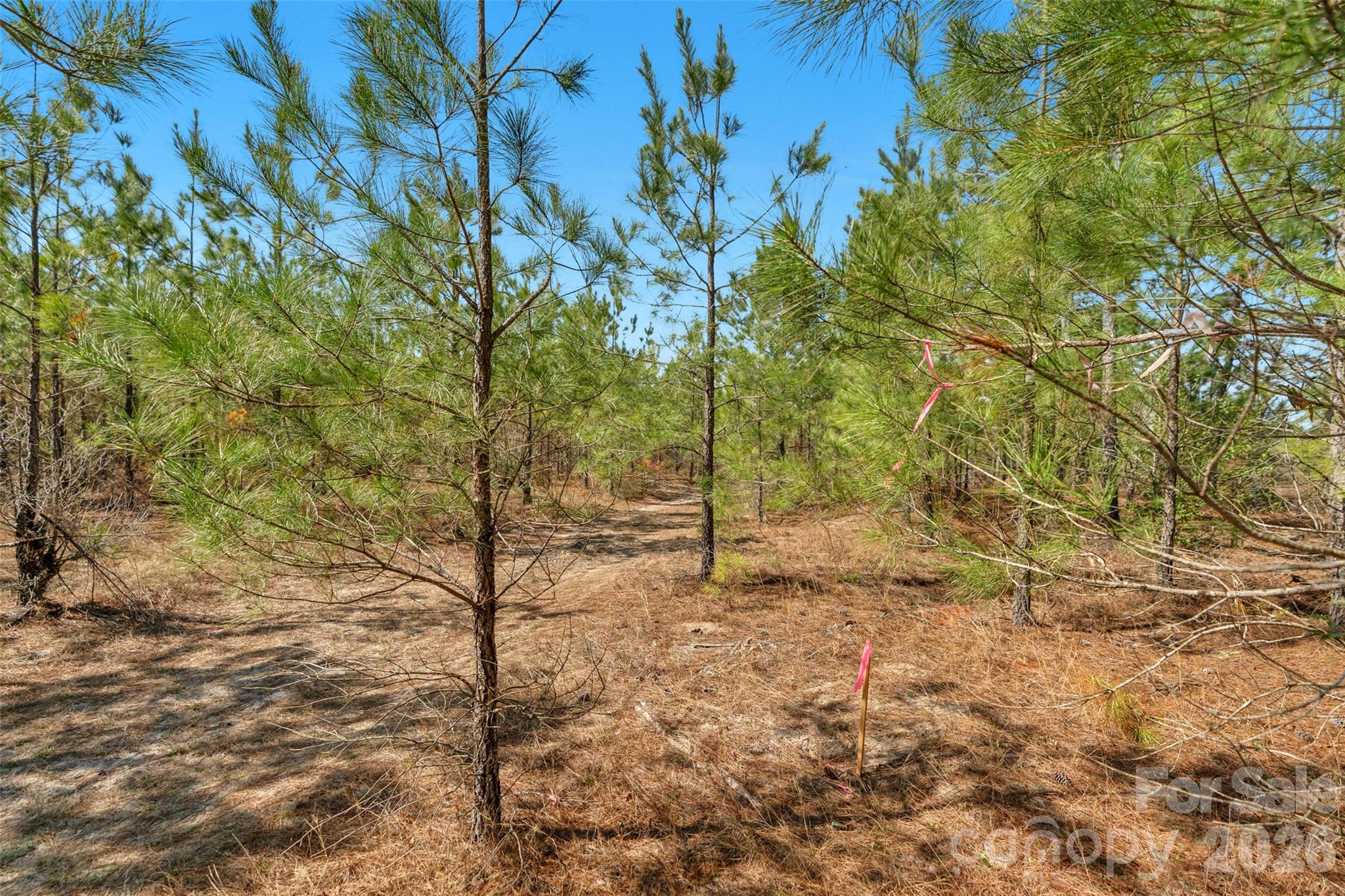 931 Charlie Johnson Road, Unit 2 Kershaw, SC 29067 - Photo 13 of 35