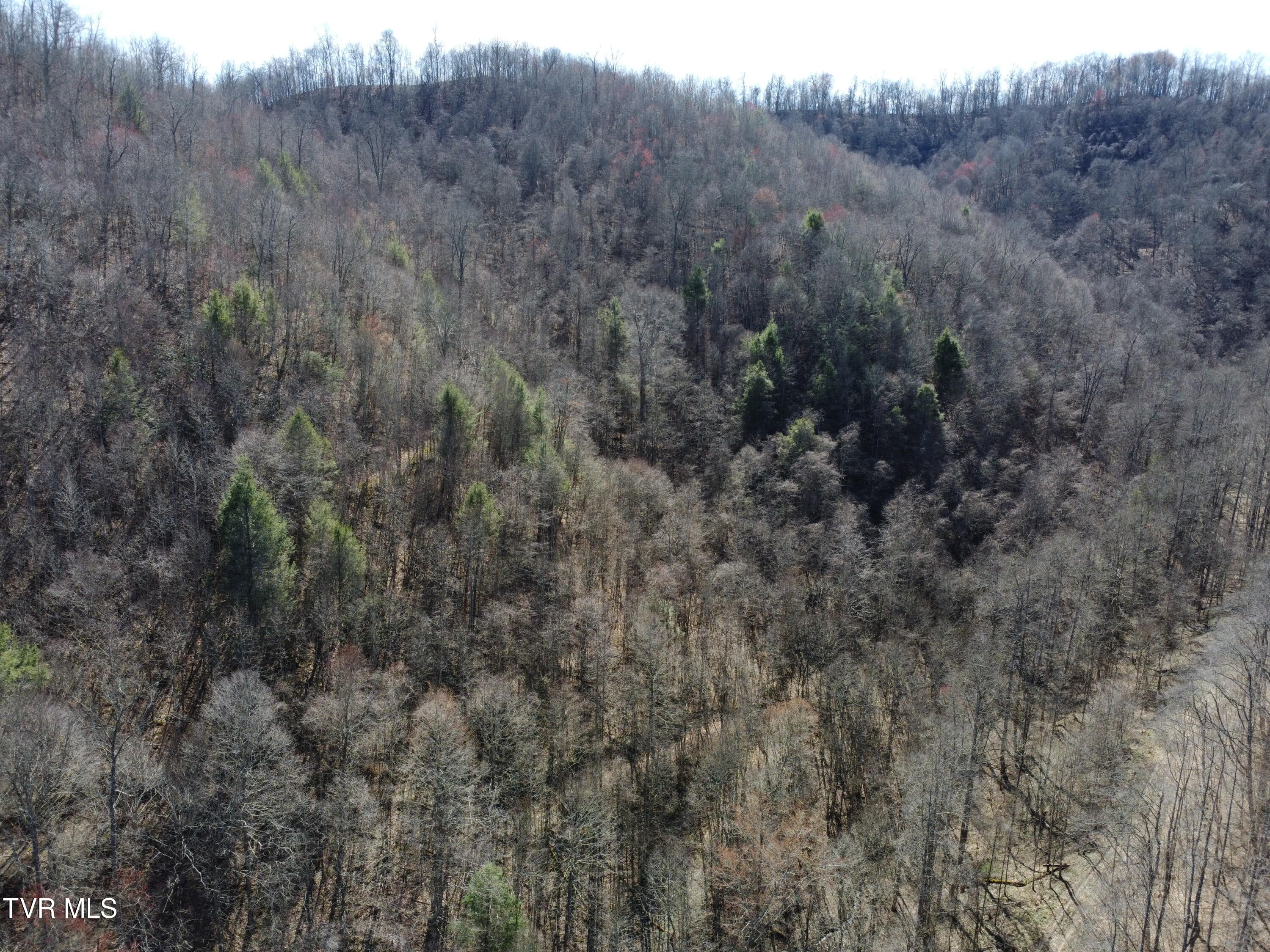 Tbd Bull Run Road Coeburn, VA 24230 - Photo 43 of 57 DJI_0599