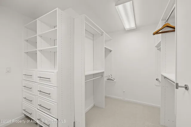 a view of walk in closet