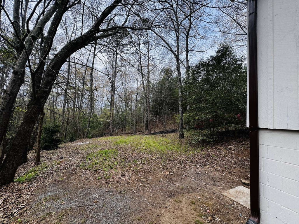 126 Monticello Road Ellijay, GA 30536 - Photo 18 of 19 Gallery Image 18