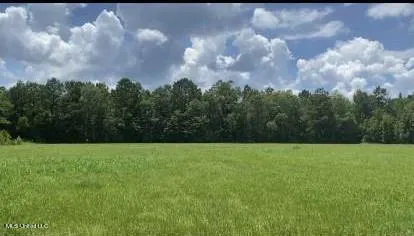 $190,000 | 2697 River Road, Silver Creek, MS 39663
