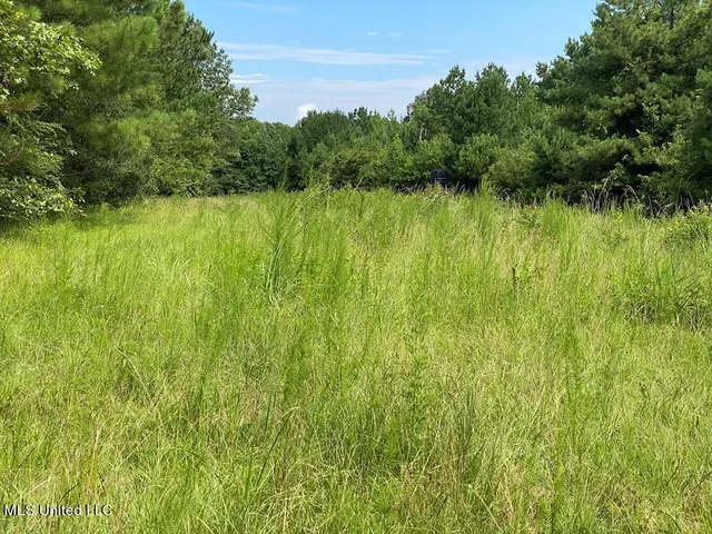 $190,000 | 2697 River Road, Silver Creek, MS 39663