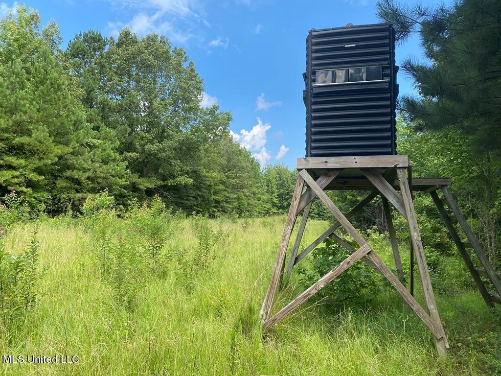 2697 River Road Silver Creek, MS 39663 - Photo 7 of 10 land-for-sale-lawrence-county-ms6