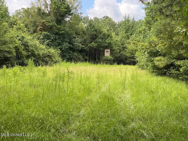 $190,000 | 2697 River Road, Silver Creek, MS 39663