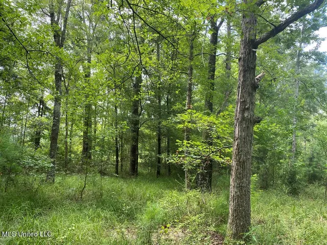 $190,000 | 2697 River Road, Silver Creek, MS 39663