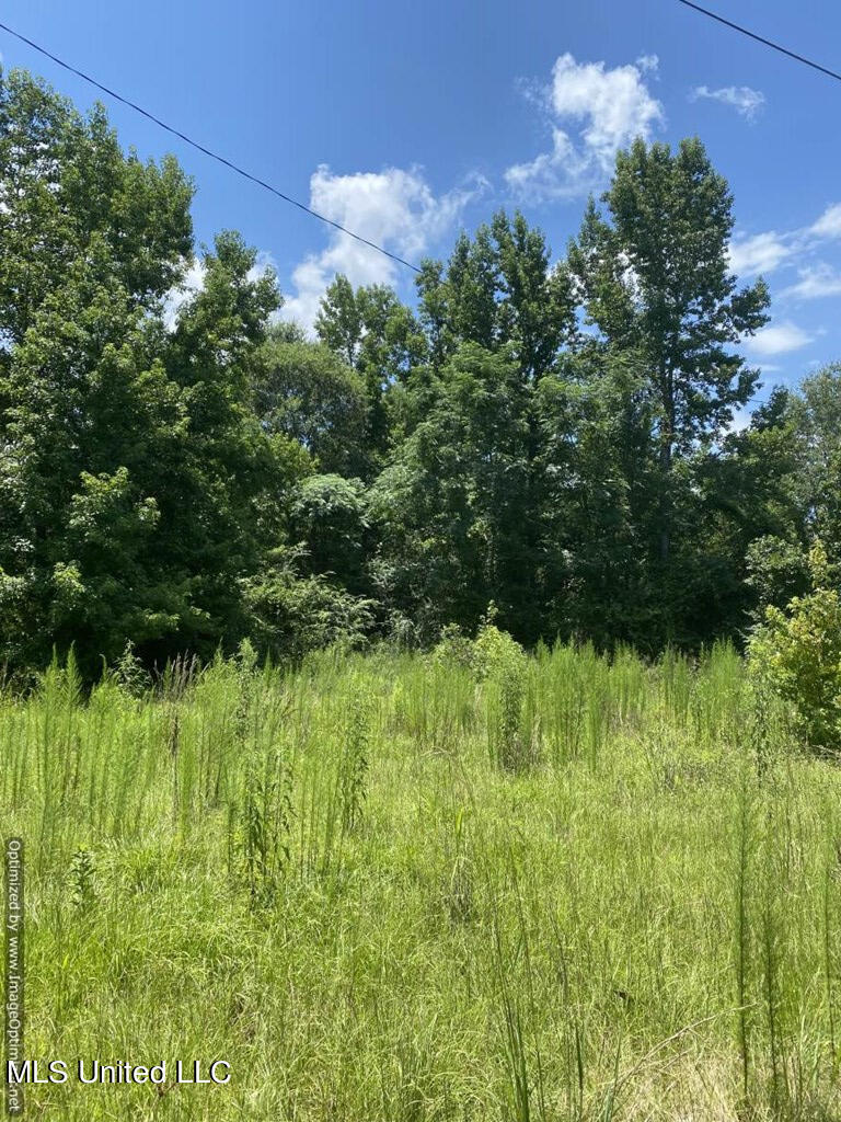 2697 River Road Silver Creek, MS 39663 - Photo 10 of 10 land-for-sale-lawrence-county-ms10