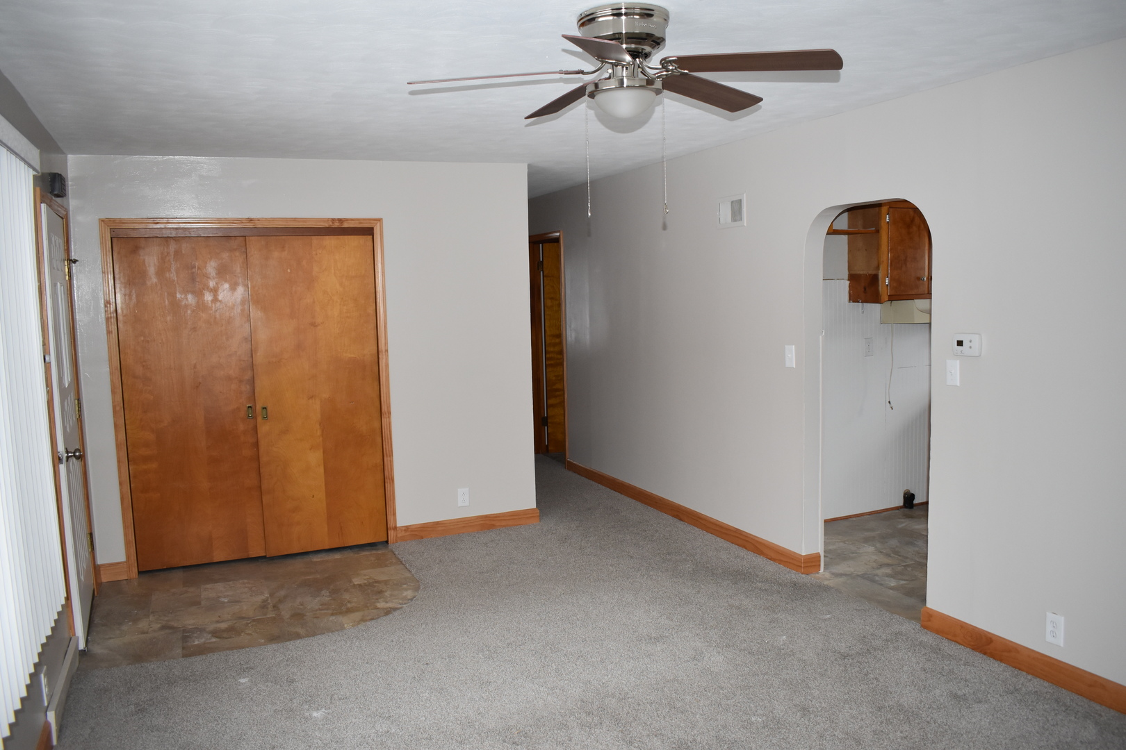 211 North Monroe Street Flanagan, IL 61740 - Photo 16 of 20 an empty room with windows and fan
