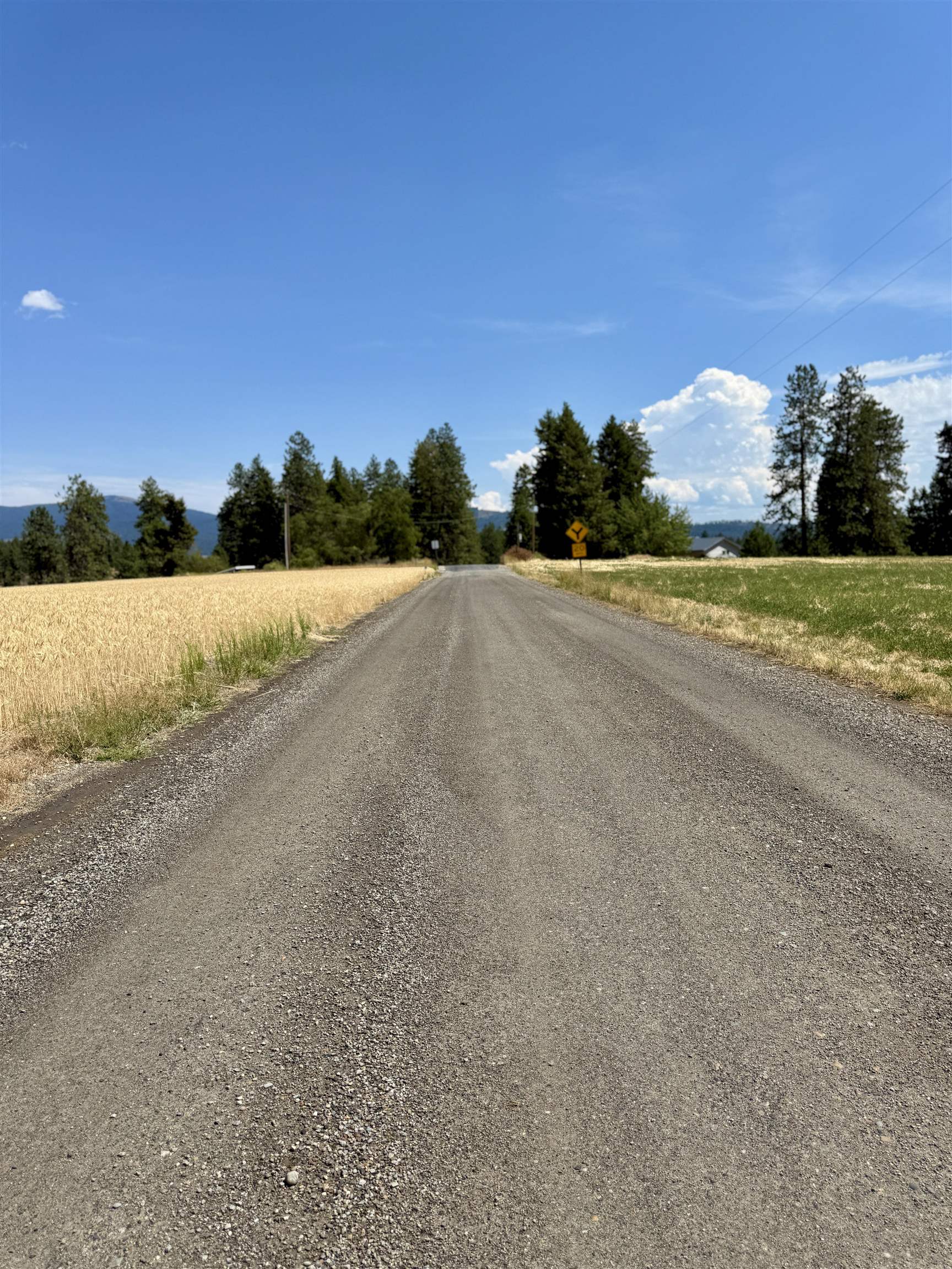 0 East Orchard Bluff Road Chattaroy, WA 99003 - Photo 11 of 13