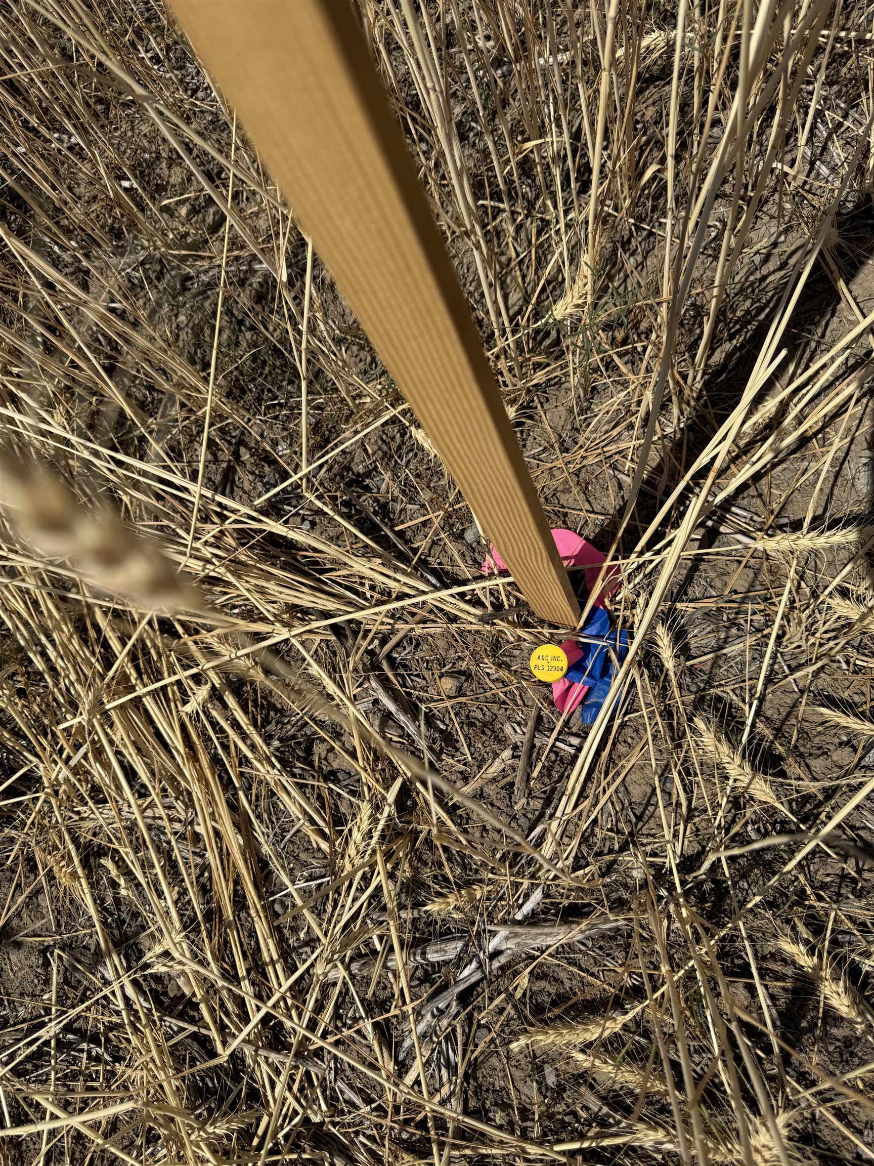 0 East Orchard Bluff Road Chattaroy, WA 99003 - Photo 6 of 13