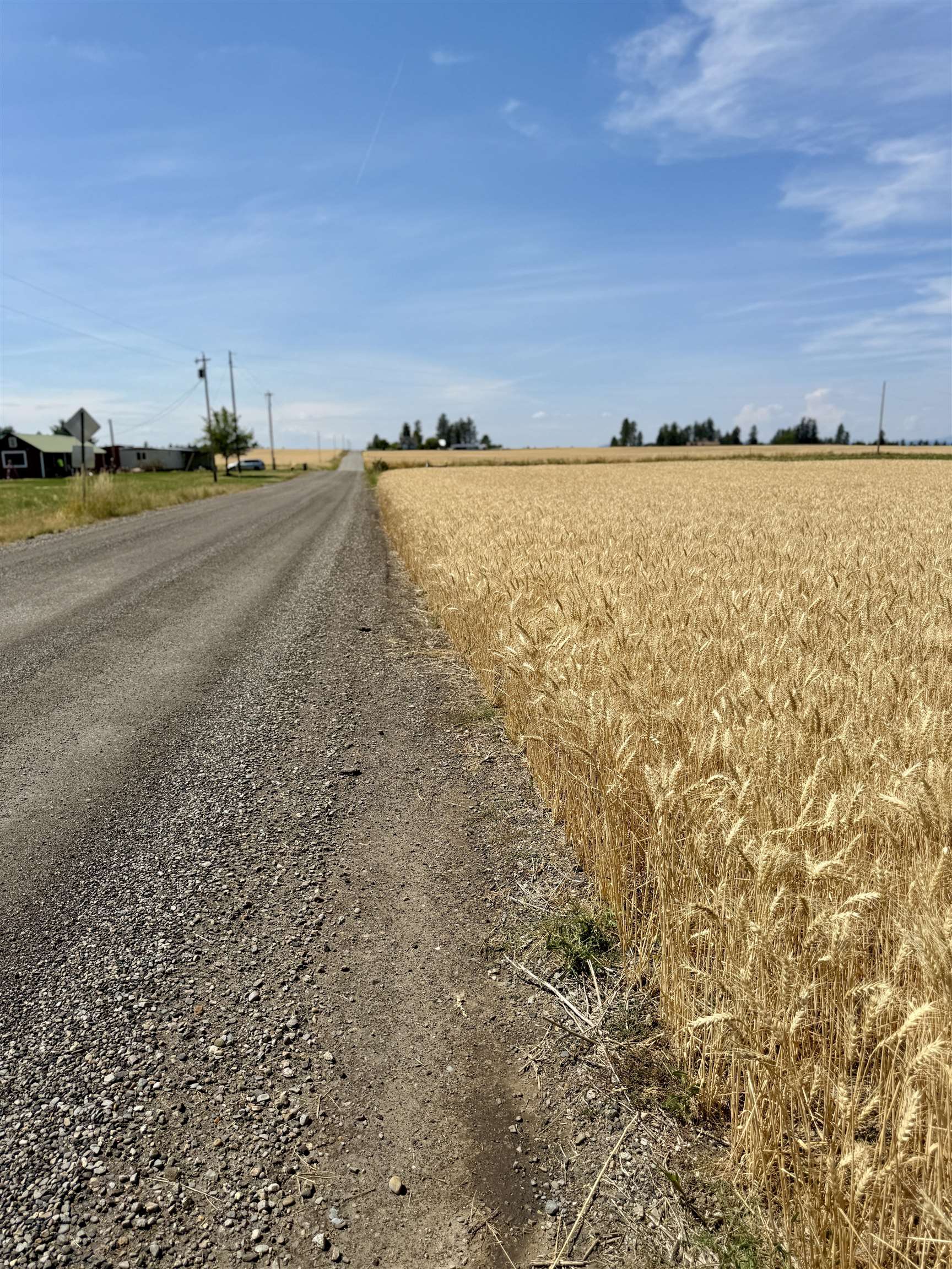 0 East Orchard Bluff Road Chattaroy, WA 99003 - Photo 10 of 13