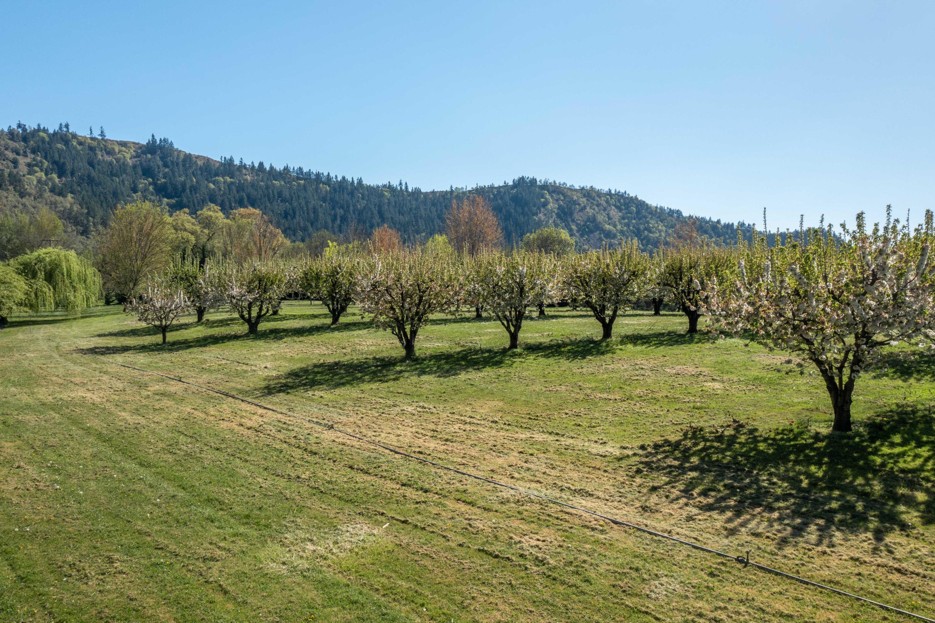 344 Hooten Road Winston, OR 97496 - Photo 13 of 44 29