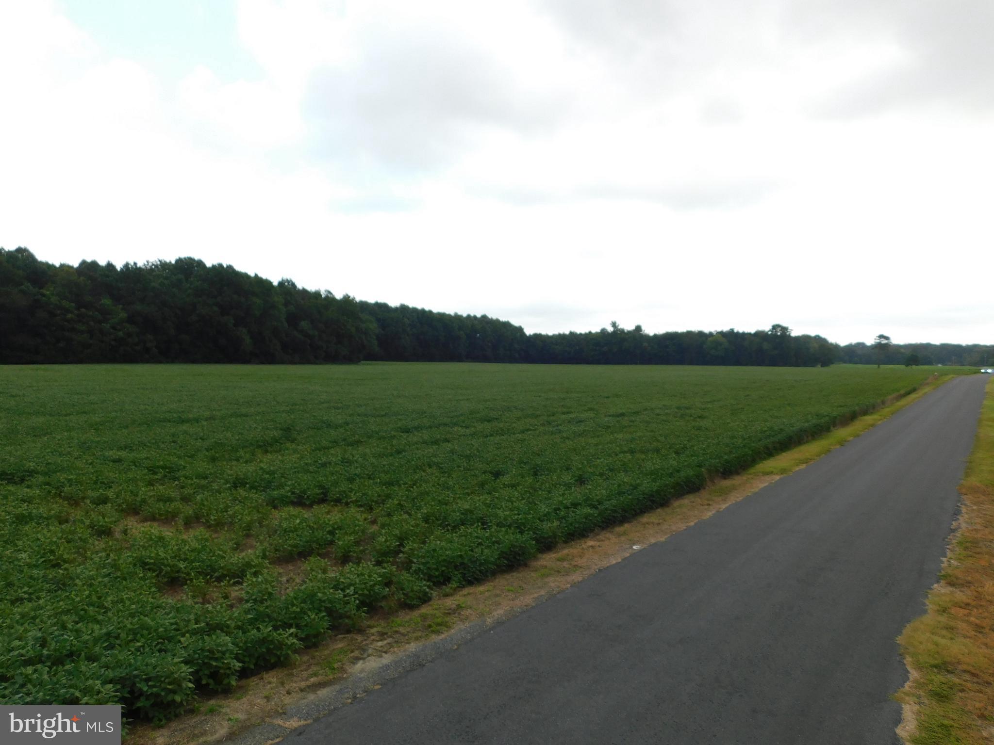 Easterly Portion Lot 1 Easterly Portion Road Bishopville, MD 21813 - Photo 6 of 17 a view of a river and a field