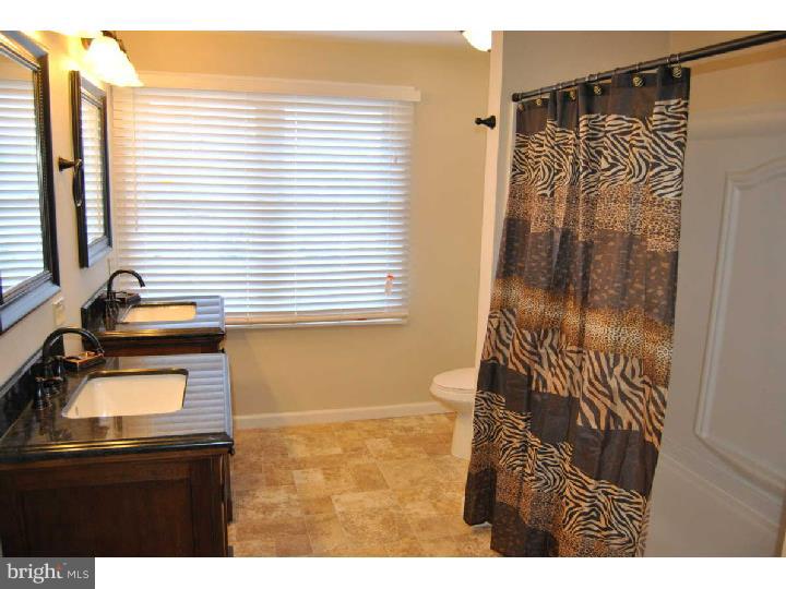40 Hollow Road Telford, PA 18969 - Photo 9 of 25 Master Bathroom