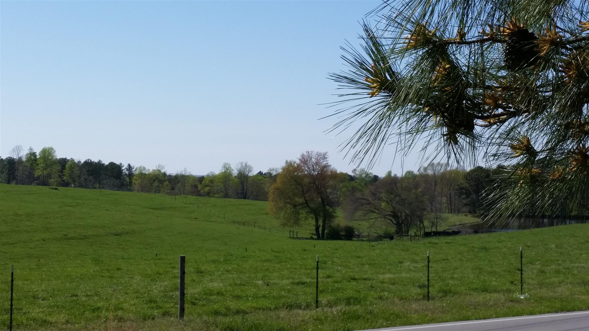 3 Liberty Road Fayetteville, TN 37334 - Photo 3 of 4 Gallery Image 3