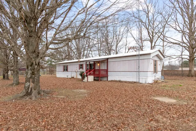 a view of a house with a large tree in front of it