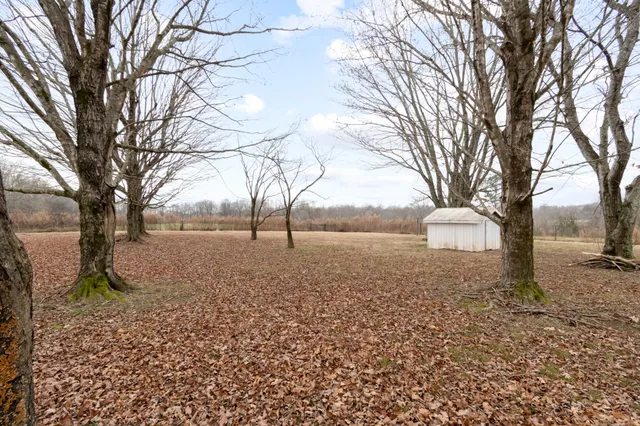 a backyard of a house with lots of green space